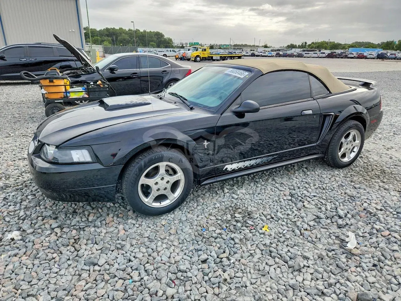 Ford Mustang 3.8L 6 2003