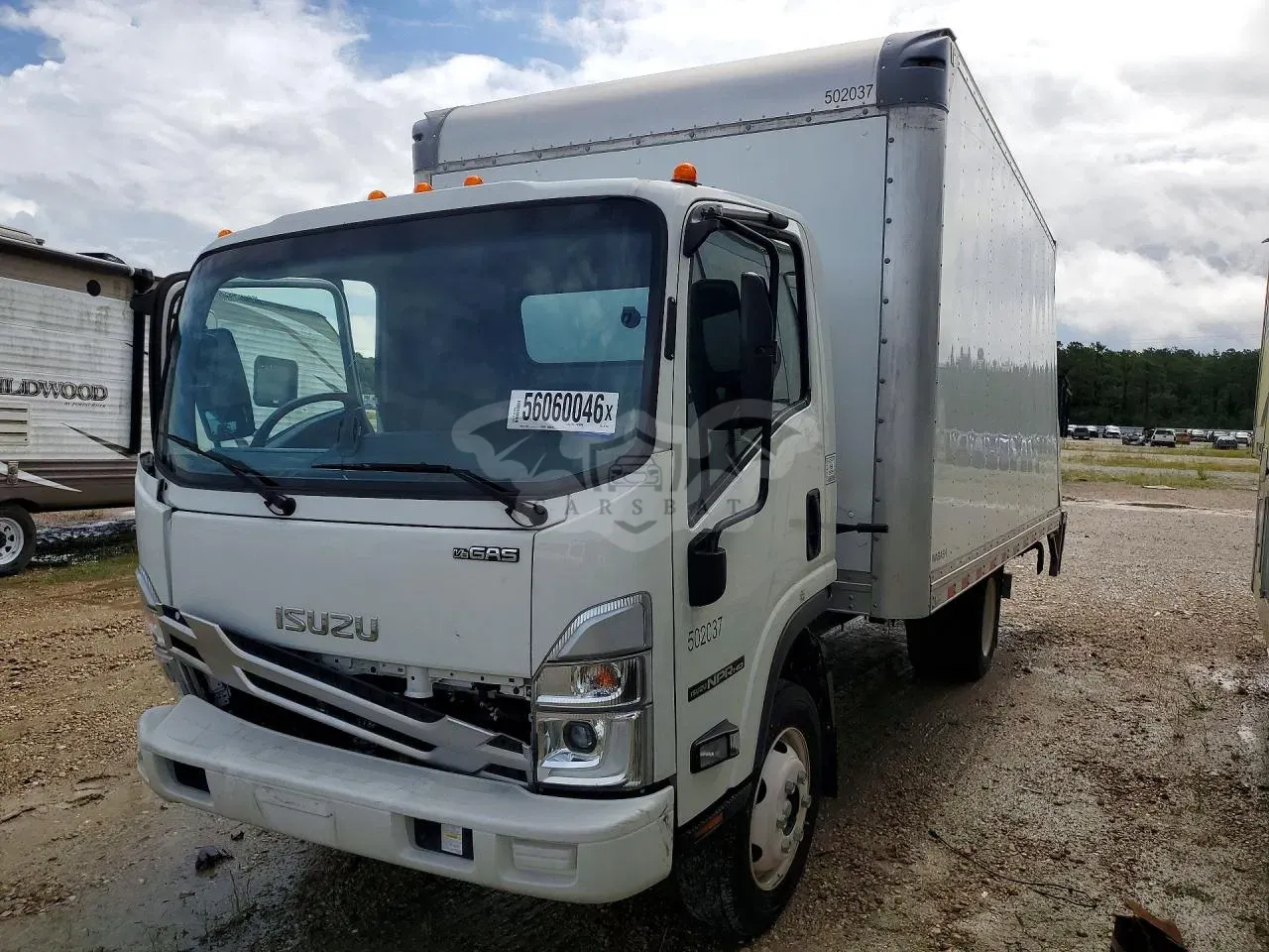 Isuzu NPR 6.6L 8 2025