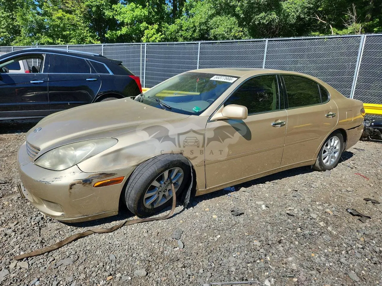 Lexus ES 2002