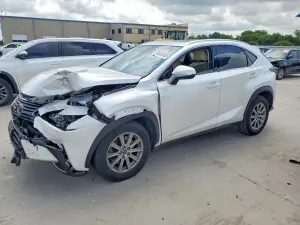 Lexus NX 2.0L 4 2019