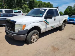 Ford F-150 4.6L 8 2009