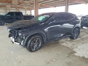 Lexus NX 2.4L 4 2024