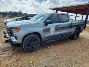 Chevrolet Silverado 1500 5.3L 8 2023