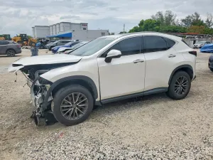 Lexus NX 2.4L 4 2022