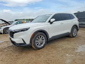 Honda CR-V 1.5L 4 2025