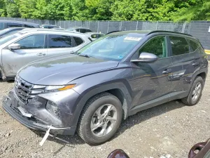 Hyundai Tucson 2.5L 4 2024