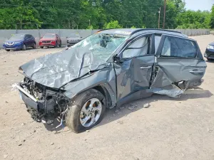 Hyundai Tucson 2.5L 4 2024