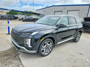 Hyundai Palisade 3.8L 6 2025