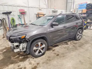 Jeep Cherokee 2.0L 4 2019