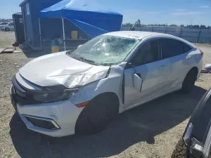 Honda Civic 2.0L 4 2019