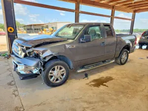 Ford F-150 4.6L 8 2007