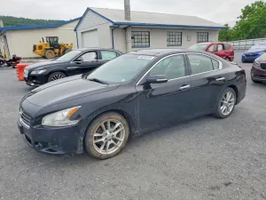 Nissan Maxima 3.5L 6 2011