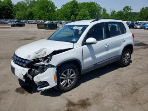Volkswagen Tiguan 2.0L 4 2016