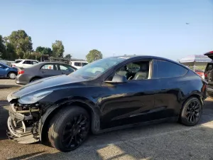 Tesla Model Y 2021