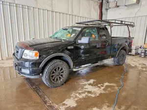 Ford F-150 5.4L 8 2004