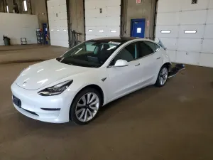 Tesla Model 3 2019