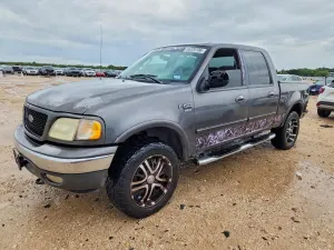 Ford F-150 4.6L 8 2003