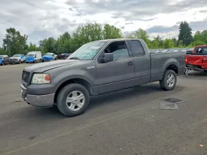 Ford F-150 4.6L 8 2004