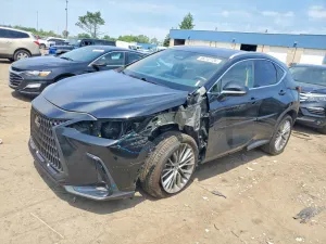 Lexus NX 2.4L 4 2022