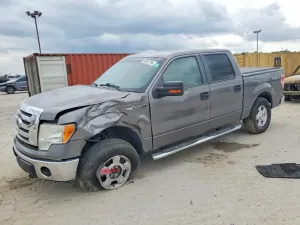 Ford F-150 4.6L 8 2010