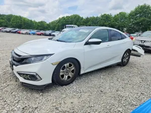 Honda Civic 2.0L 4 2019
