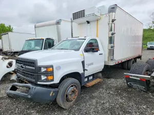 Chevrolet Silverado 1500 6.6L 8 2020