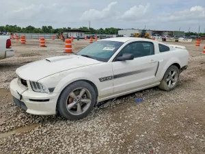 Ford Mustang 4.6L 8 2008