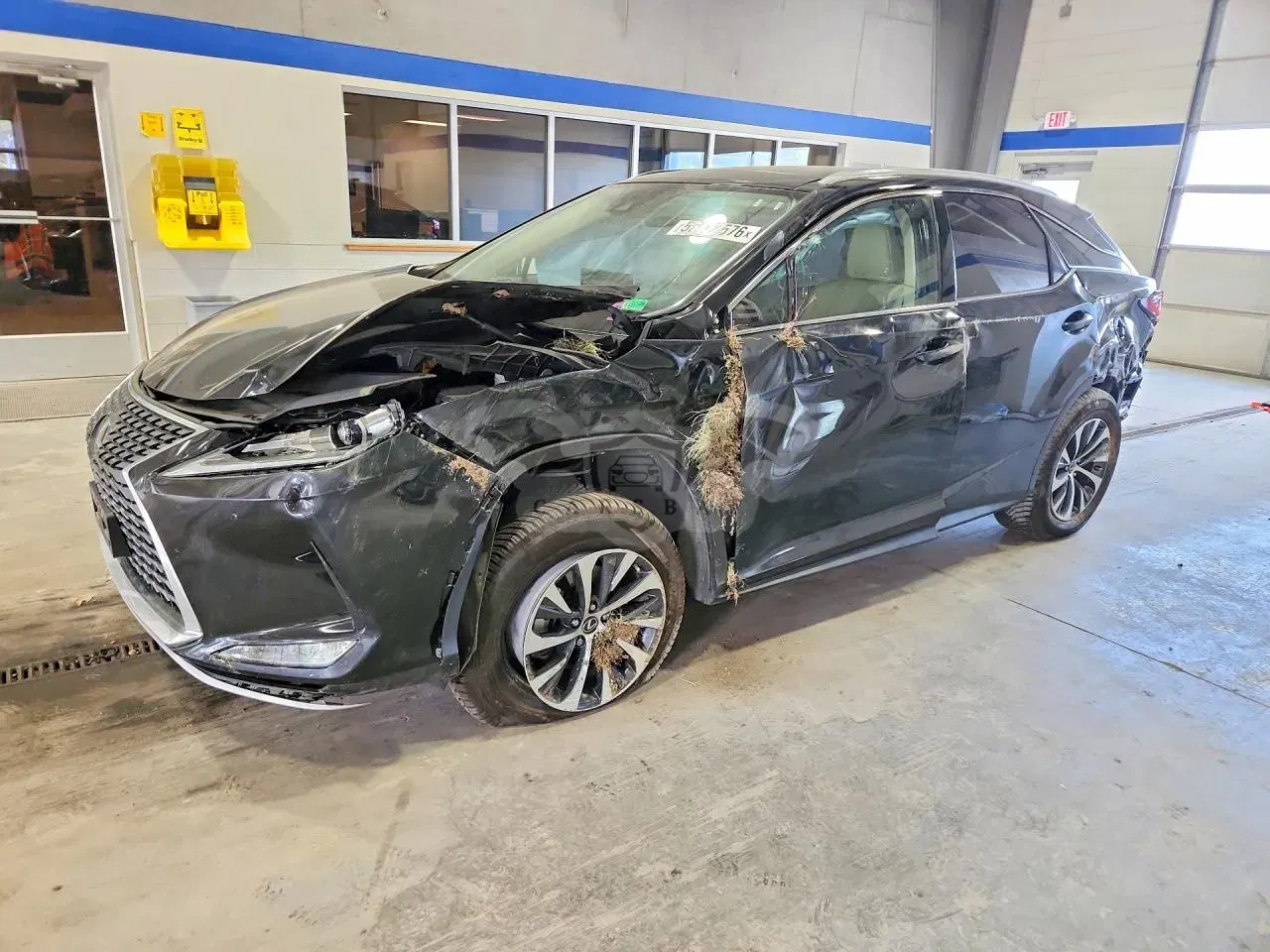 Lexus RX 3.5L 6 2022