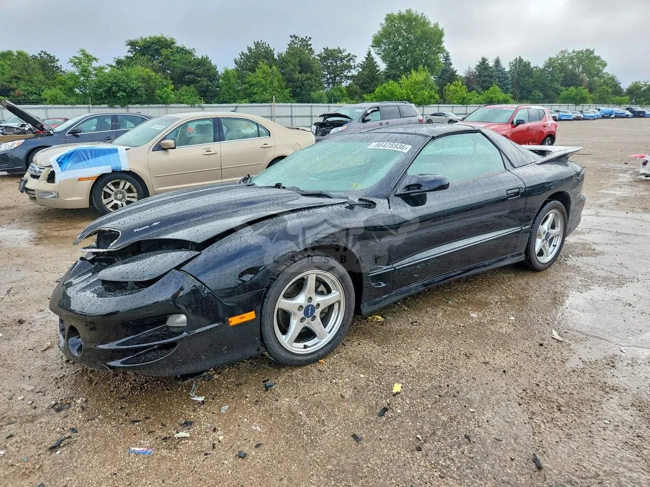 Pontiac Firebird 5.7L 8 2000