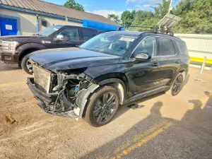 Hyundai Palisade 3.8L 6 2024