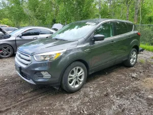 Ford Escape 1.5L 4 2019