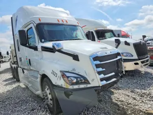Freightliner Cascadia 14.8L 6 2019