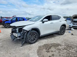 Lexus NX 2.5L 4 2023