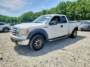 Ford F-150 4.6L 8 2009