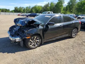 Honda Civic 2.0L 4 2019