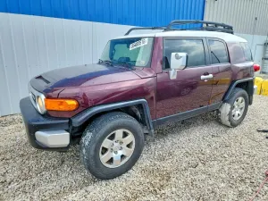 Toyota FJ Cruiser 4.0L 6 2007