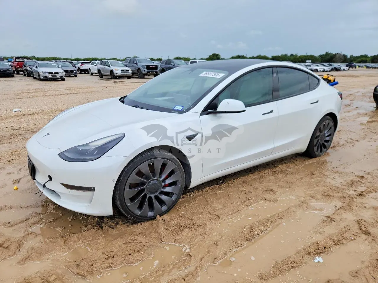 Tesla Model 3 2021