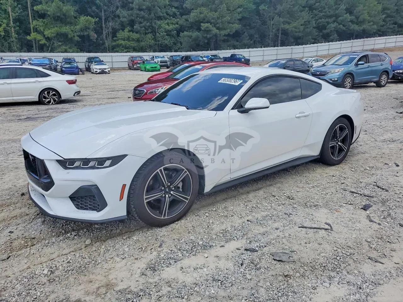 Ford Mustang 2.3L 4 2024