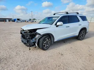 Hyundai Palisade 3.8L 6 2023