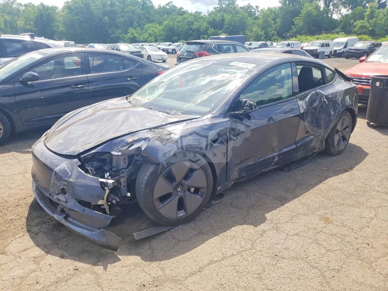 Tesla Model 3 2021