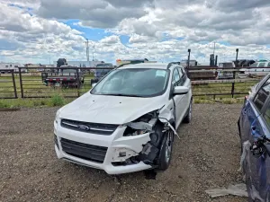 Ford Escape 1.6L 4 2014