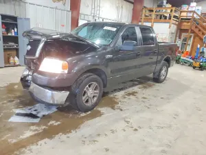Ford F-150 4.6L 8 2007