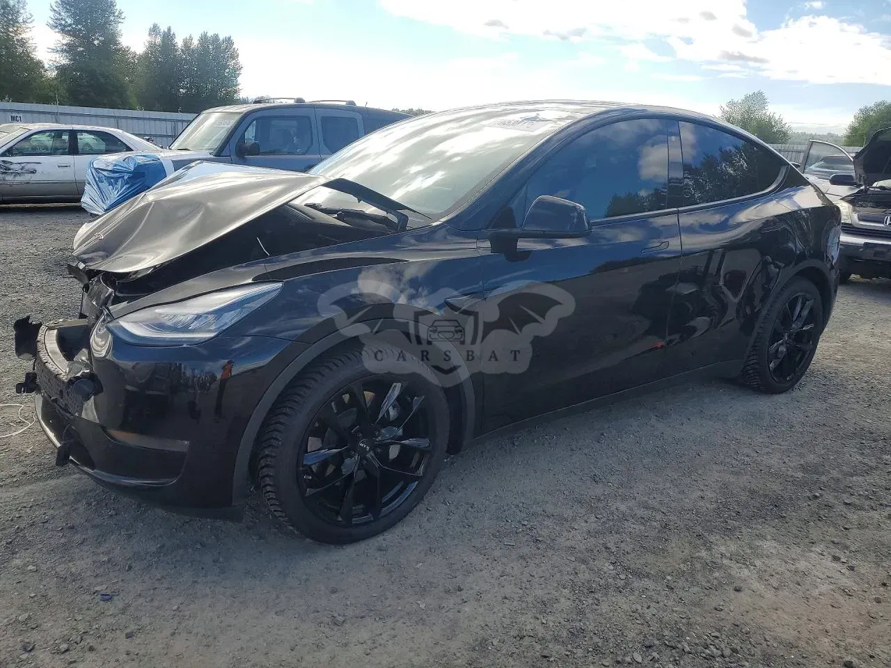 Tesla Model Y 2020