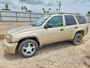 Chevrolet Trailblazer 4.2L 6 2007