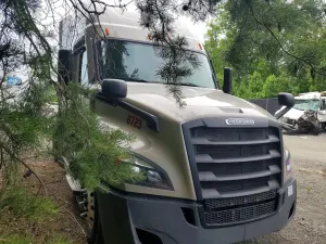 Freightliner Cascadia 14.8L 6 2021