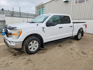 Ford F-150 5.0L 8 2022
