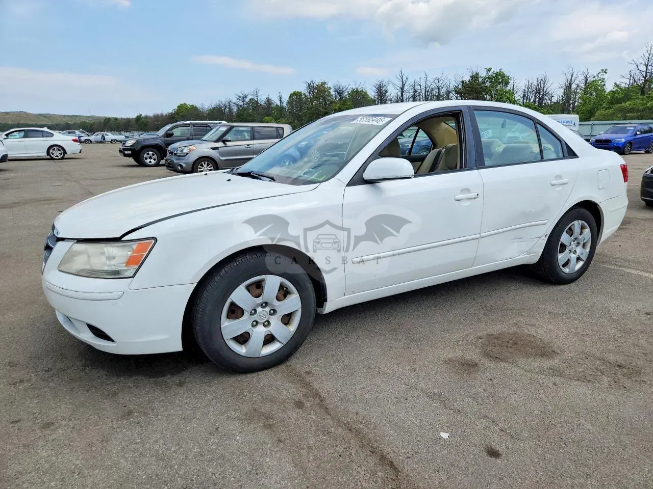 Hyundai Sonata 2.4L 4 2010