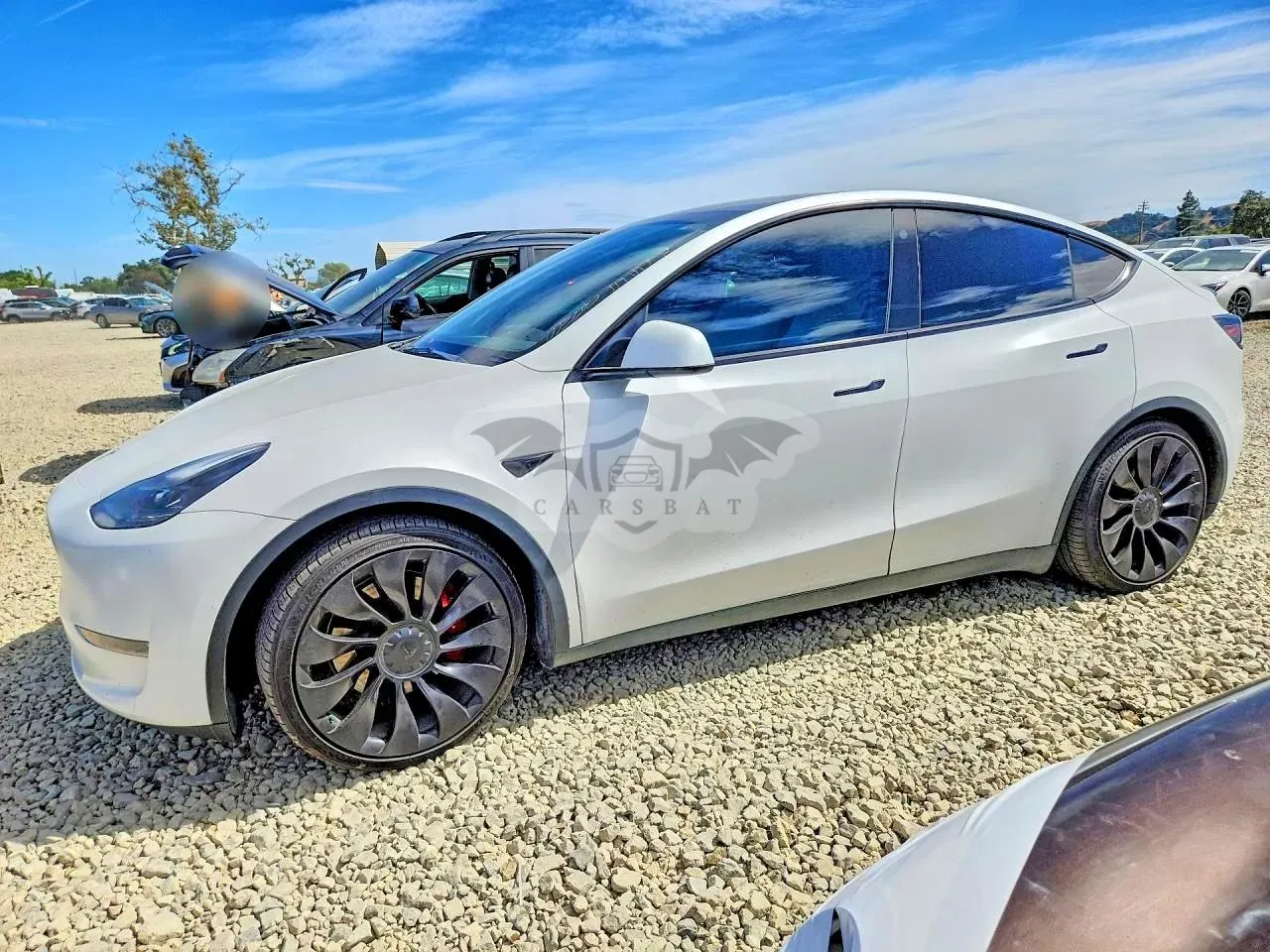 Tesla Model Y 2022