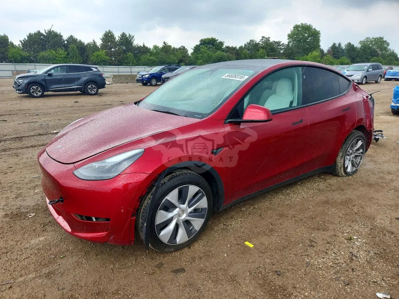 Tesla Model Y 2024