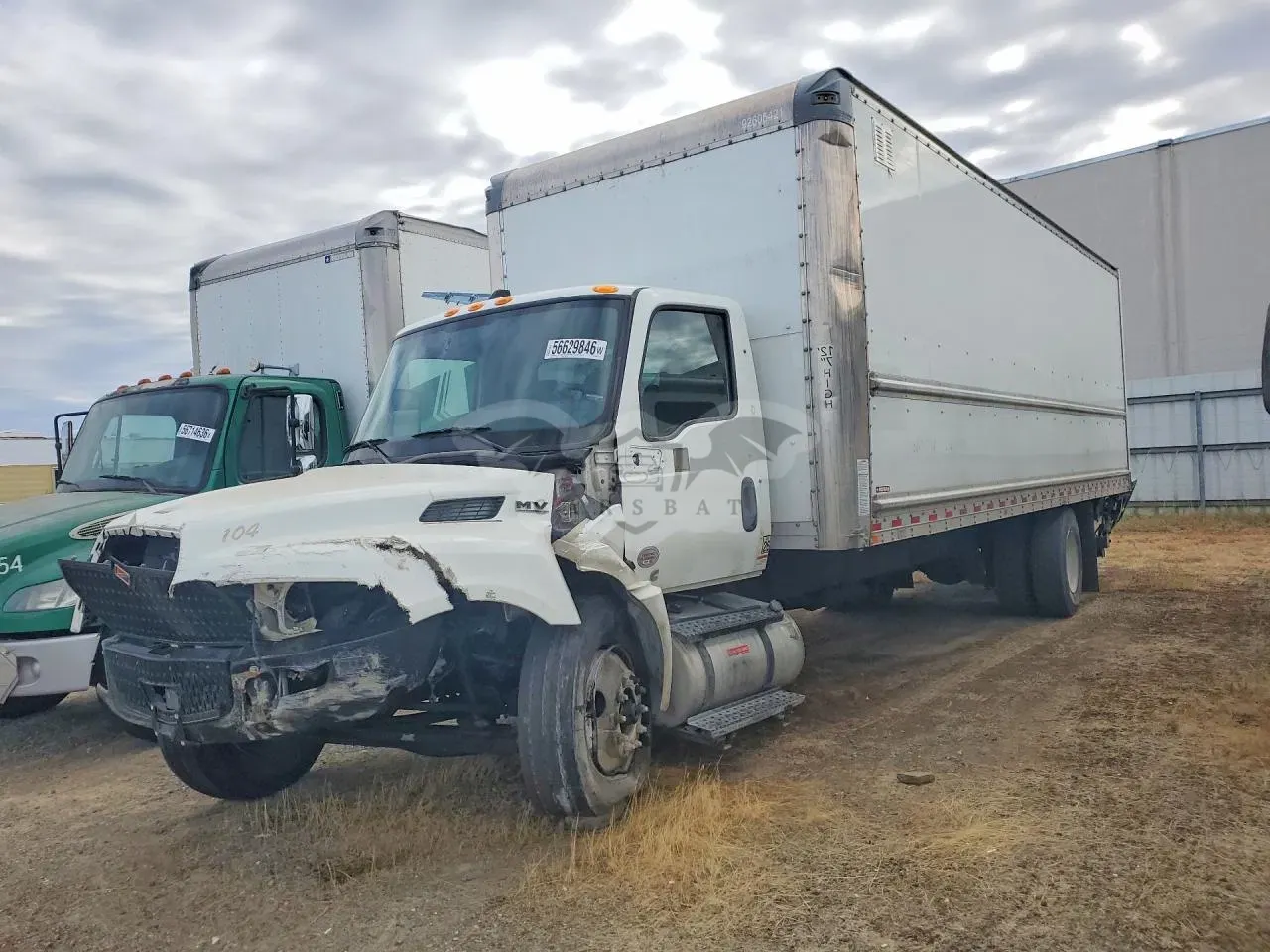 International MV Series 6.7L 6 2024